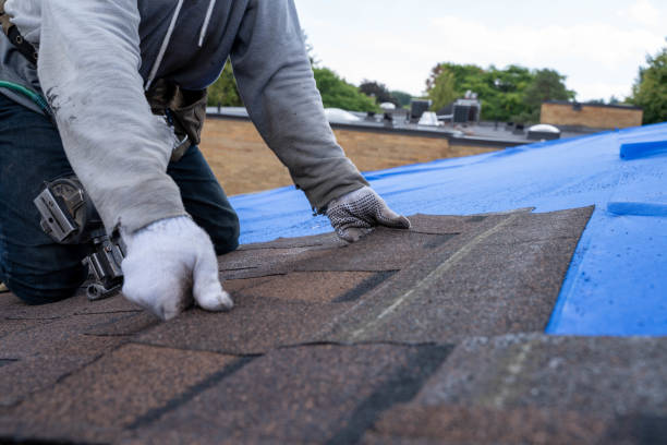 Best New Roof Installation  in Cypress Landing, NC