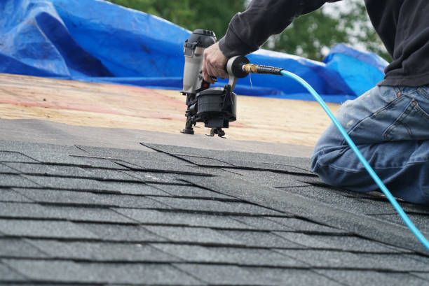 Best Shingle Roofing Installation  in Cypress Landing, NC