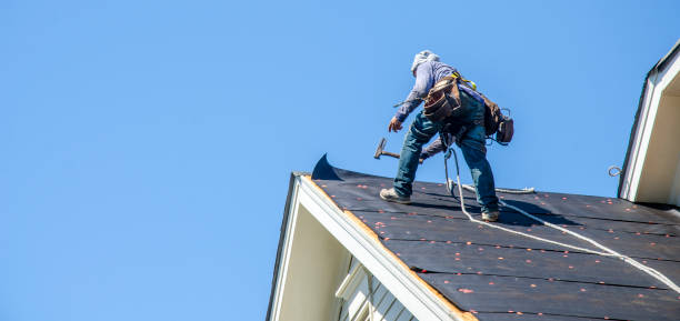 Best Roof Maintenance Services  in Cypress Landing, NC